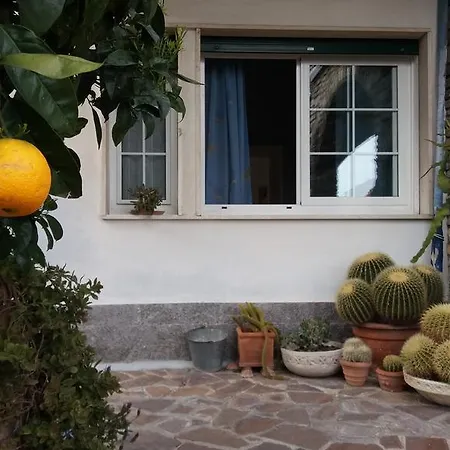 Casa Delle Zagare * San Bartolomeo Al Mare